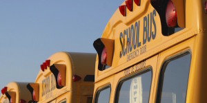 school buses