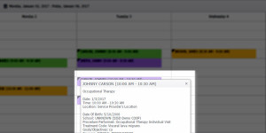 AcceliTRACK Calendar Session Details