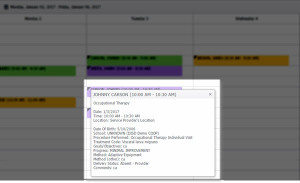 Calendar Session Details Pop Up