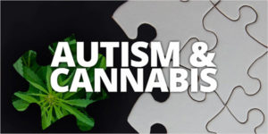 autism and cannabis with puzzle pieces in the background