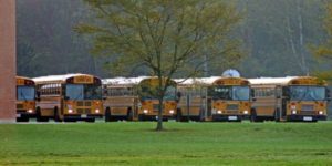 row of school buses